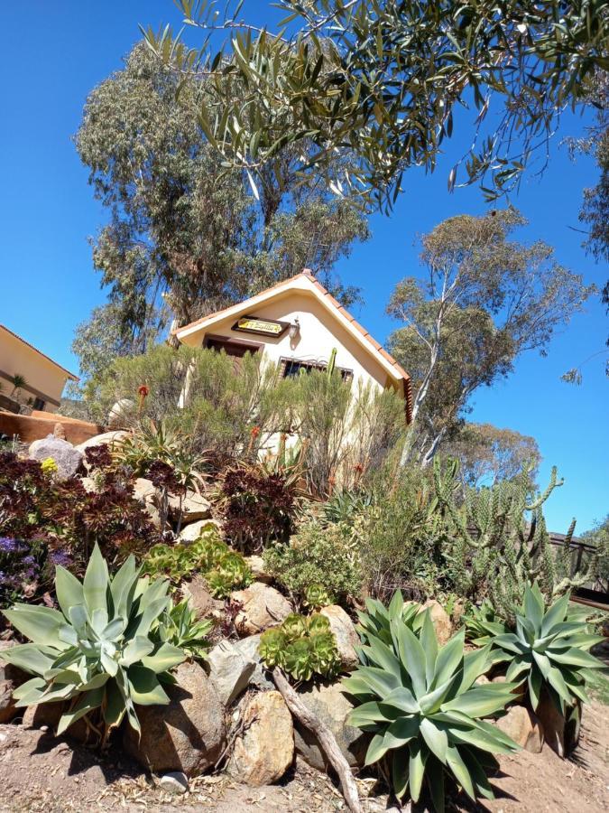 Santa Magdala Hotel Boutique Ensenada Buitenkant foto